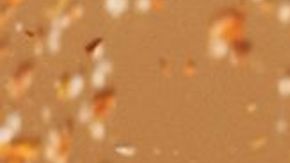 Tajín and Rare Beauty