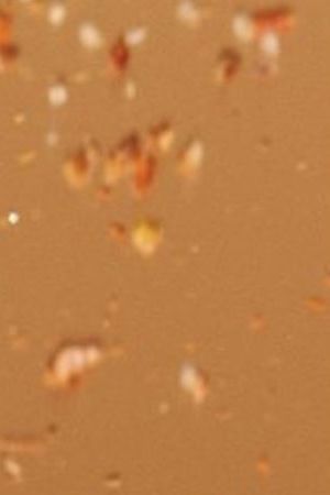 Tajín and Rare Beauty