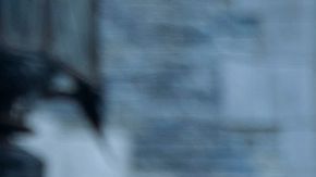 Wednesday Jenna Ortega