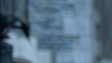 Wednesday Jenna Ortega