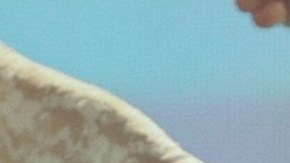 Kali Uchis_ The Sincerely, Tour’