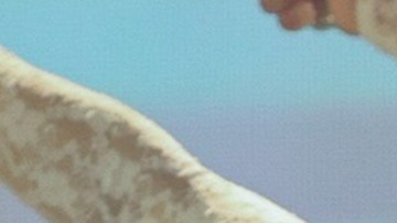 Kali Uchis_ The Sincerely, Tour’