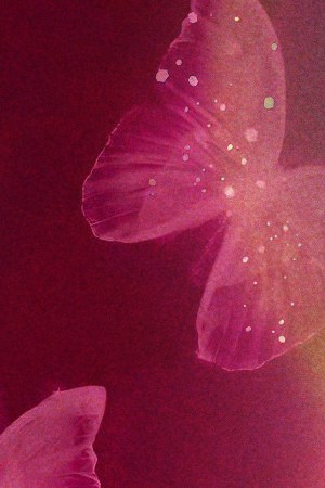 Belinda_Snow Tha Product_Frijolero