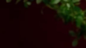 Cardi B on the Call Her Daddy podcast