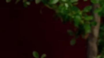 Cardi B on the Call Her Daddy podcast