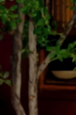 Cardi B on the Call Her Daddy podcast