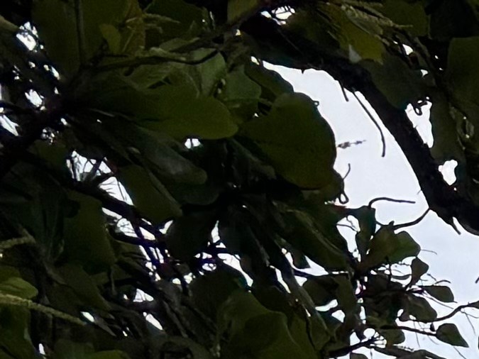 Taller Comunidad La Goyco in Santurce, a community space where bomba workshops bring together students of all ages to keep the tradition alive