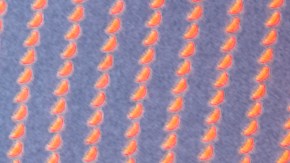 Bad Bunny_Bowl LX Halftime