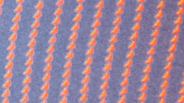 Bad Bunny_Bowl LX Halftime