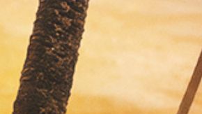 DANCING WITH THE STARS – Key Art. (Disney)