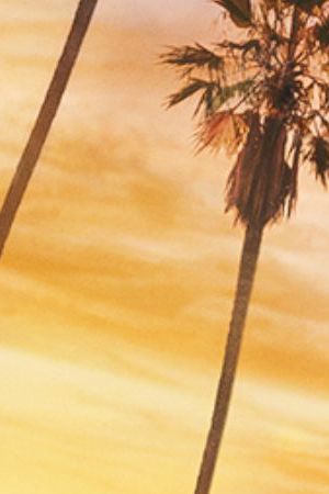 DANCING WITH THE STARS – Key Art. (Disney)