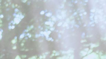 Wednesday. Jenna Ortega as Wednesday Addams in episode 205 of Wednesday. Cr. Bernard Walsh/Netflix © 2025