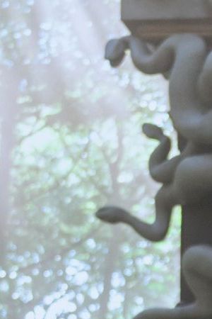 Wednesday. Jenna Ortega as Wednesday Addams in episode 205 of Wednesday. Cr. Bernard Walsh/Netflix © 2025