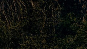 KATSEYE_2025 MTV Video