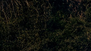 KATSEYE_2025 MTV Video