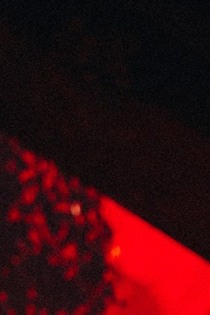 Bad Bunny_2025 Latin