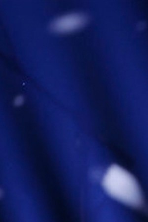 Jessica Sanchez_Americas Got Talent - Season 20