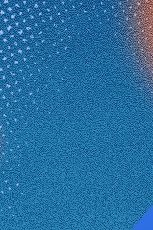 Indigenous Brazilian_