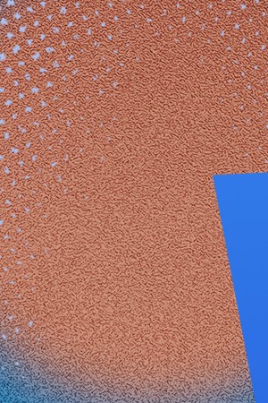 Joelma_Our Heritage Month