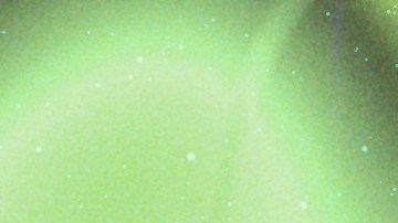 Libra_Arca_Celia Cruz