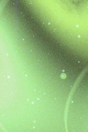 Libra_Arca_Celia Cruz