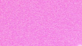 Art by Stephany Torres for Remezcla