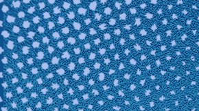 Art by Stephany Torres for Remezcla