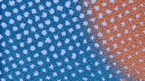 Trad wives cover for Remezcla