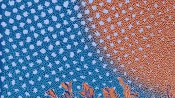 Trad wives cover for Remezcla