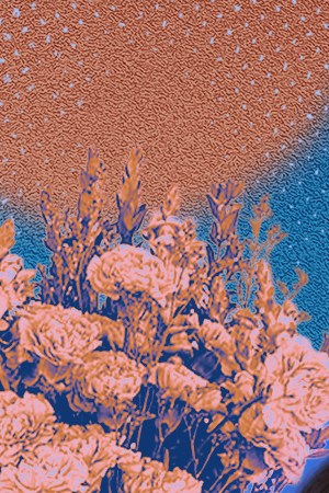 Trad wives cover for Remezcla