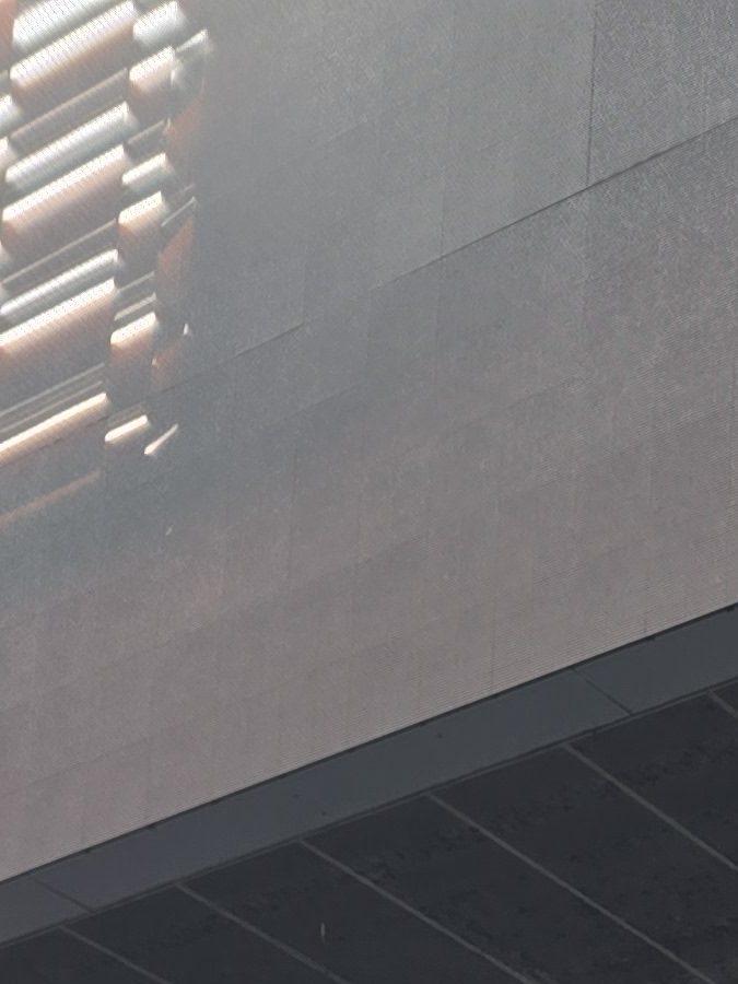 a catrin in times square