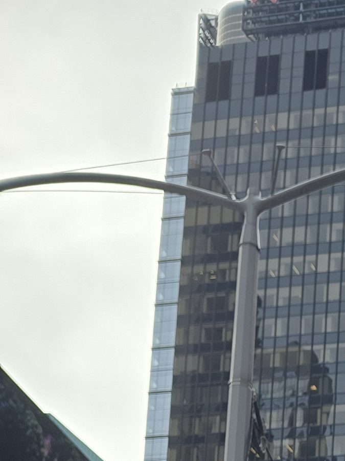 pink catrin in times square