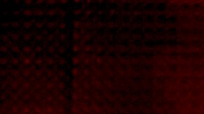 Hips Don’t_Shakira