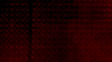 Hips Don’t_Shakira