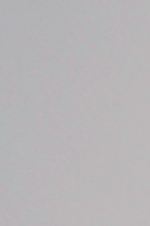 La Oreja de Van Gogh_Benegas