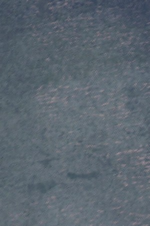 The Sincerely_Kali Uchis