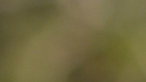 Ali from Love is Blind Season 9