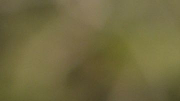 Ali from Love is Blind Season 9