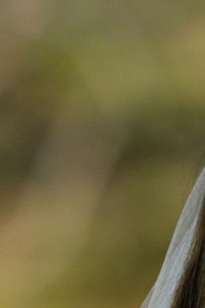 Ali from Love is Blind Season 9