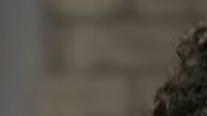 Bad Bunny Kpop demon hunters snl