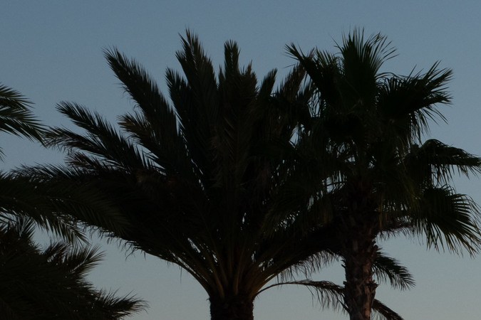 Mercedes Ron and the Cast of Culpa Nuestra