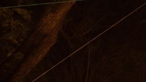 Tzintzuntzan,Michoacan; November 1 2022: Celebration of Day of the Dead with decoration of the cemetery and a candlelight vigil. One of the most important celebration in Mexico and the Lake Patzcuaro