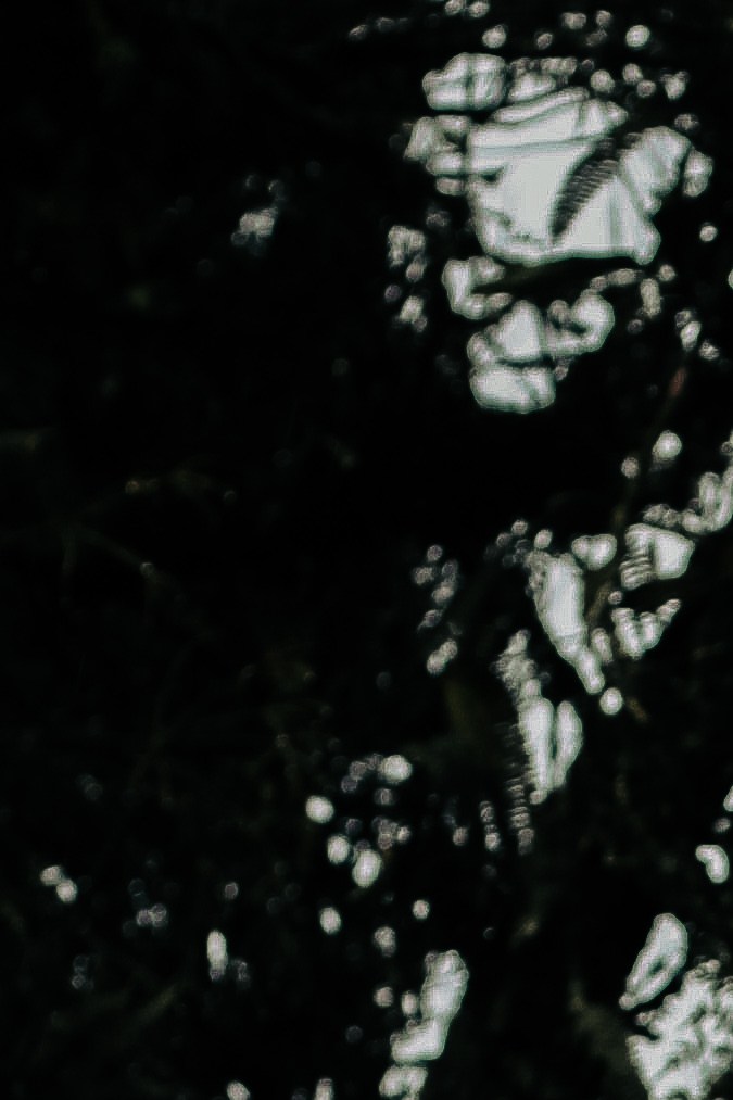 Entrance to the Bom Jesus Cemetery of Paranapiacaba. The oldest cemetery in the ABC region of São Paulo, founded in 1890. Credit: Mariana Rosetti