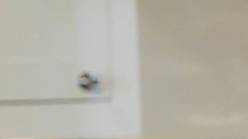 JoAnna Garcia Swisher