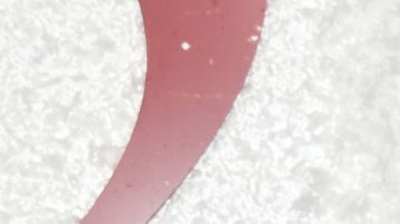 Miguel Mora in black phone 2