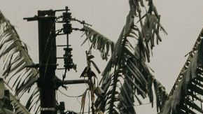 Pictured: Deserted street during the descent of the fog. The new wiring and traffic signs merge with the old, century-old wooden houses. Credit: Mariana Rosetti