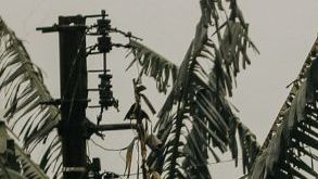 Pictured: Deserted street during the descent of the fog. The new wiring and traffic signs merge with the old, century-old wooden houses. Credit: Mariana Rosetti