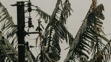 Pictured: Deserted street during the descent of the fog. The new wiring and traffic signs merge with the old, century-old wooden houses. Credit: Mariana Rosetti