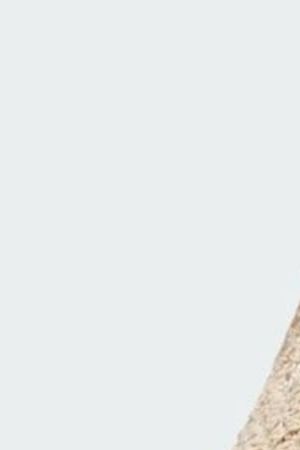 Adidas Día de Muertos sneaker 2025