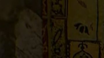 Bad bunny and marcello hernandez on SNL